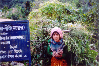 Woman with backload of cattle fodder, Uttaranchal, India