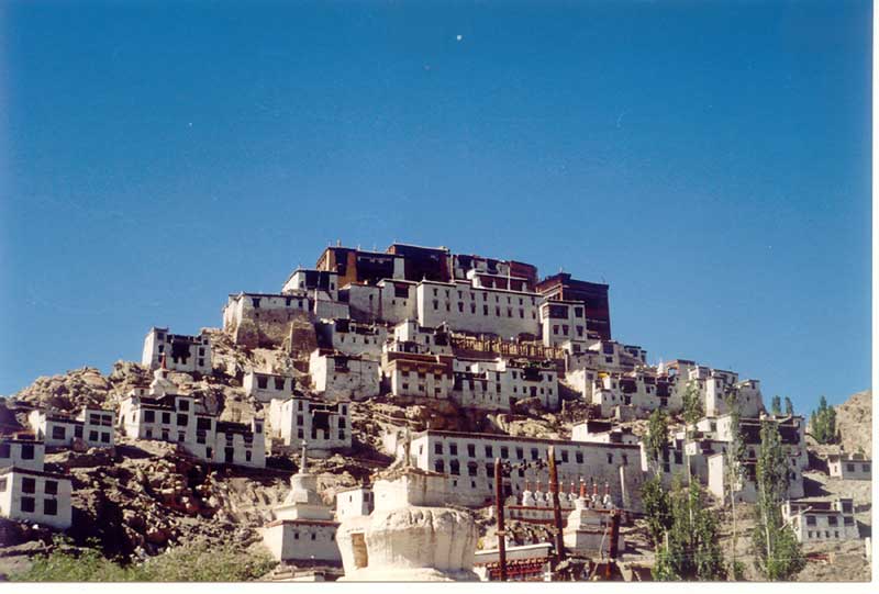 Houses blending with nature in Leh, Ladakh, India