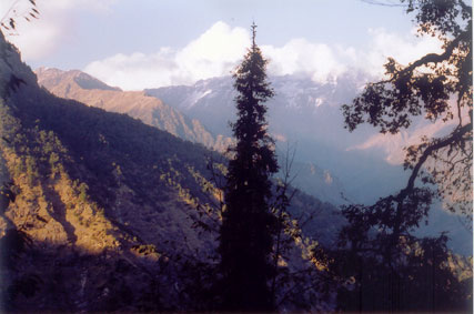 Overview of Kedarnath Wildlife Sanctuary, India