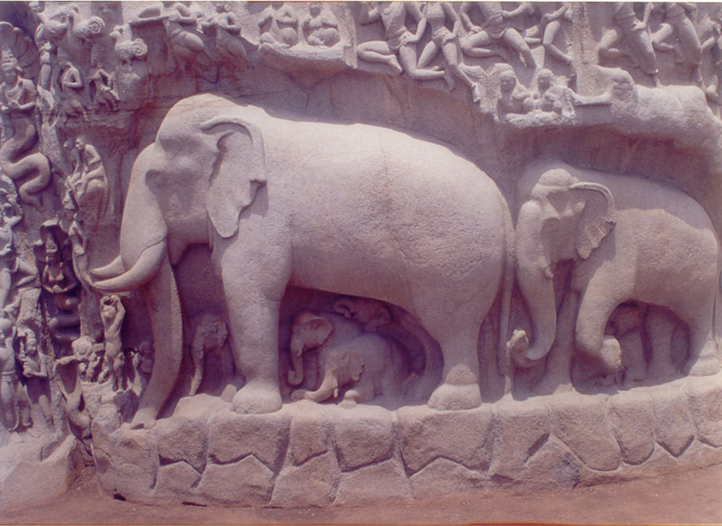 Rock carved elephant in Mahabalipuram, Chennai, India