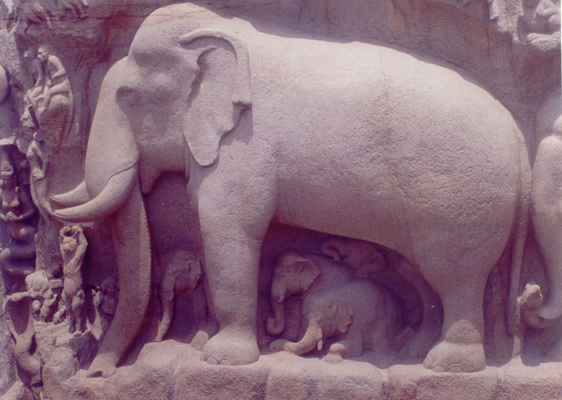 Stone mural of elephant in Mahabalipuram, Chennai, India